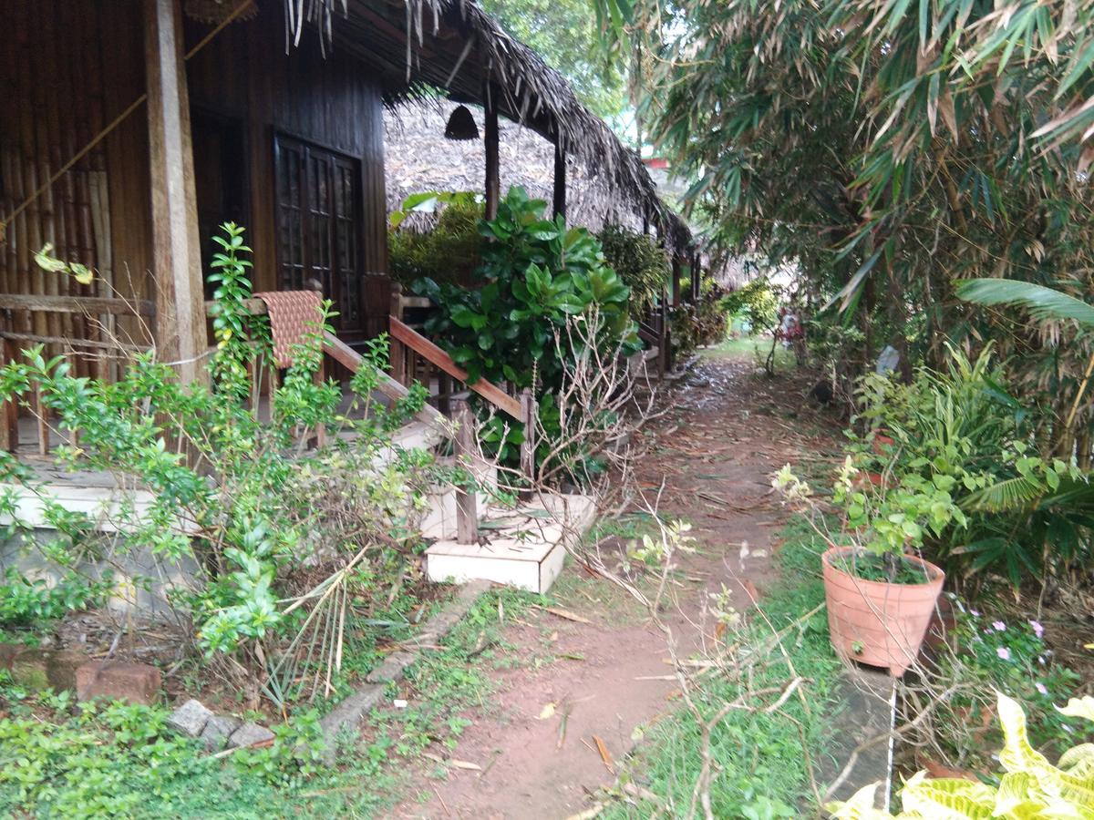 Natural Cottage Varkala Exteriér fotografie