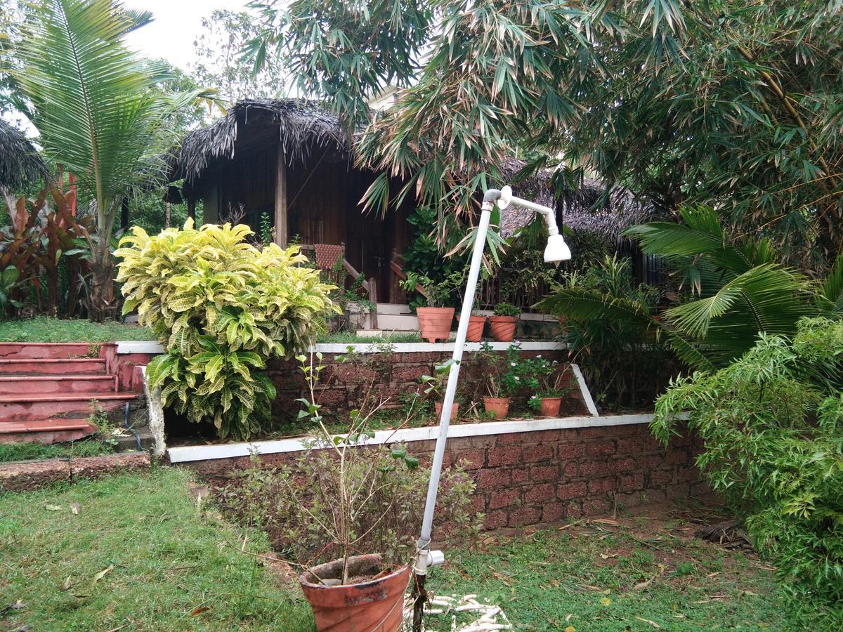 Natural Cottage Varkala Exteriér fotografie